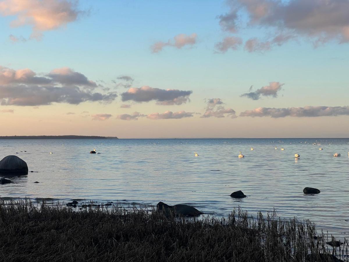 Reet Und Meer Beckerwitz Hohenkirchen  Esterno foto