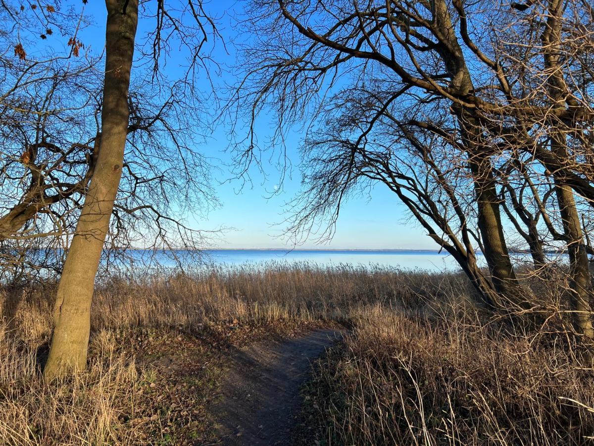 Reet Und Meer Beckerwitz Hohenkirchen  Esterno foto
