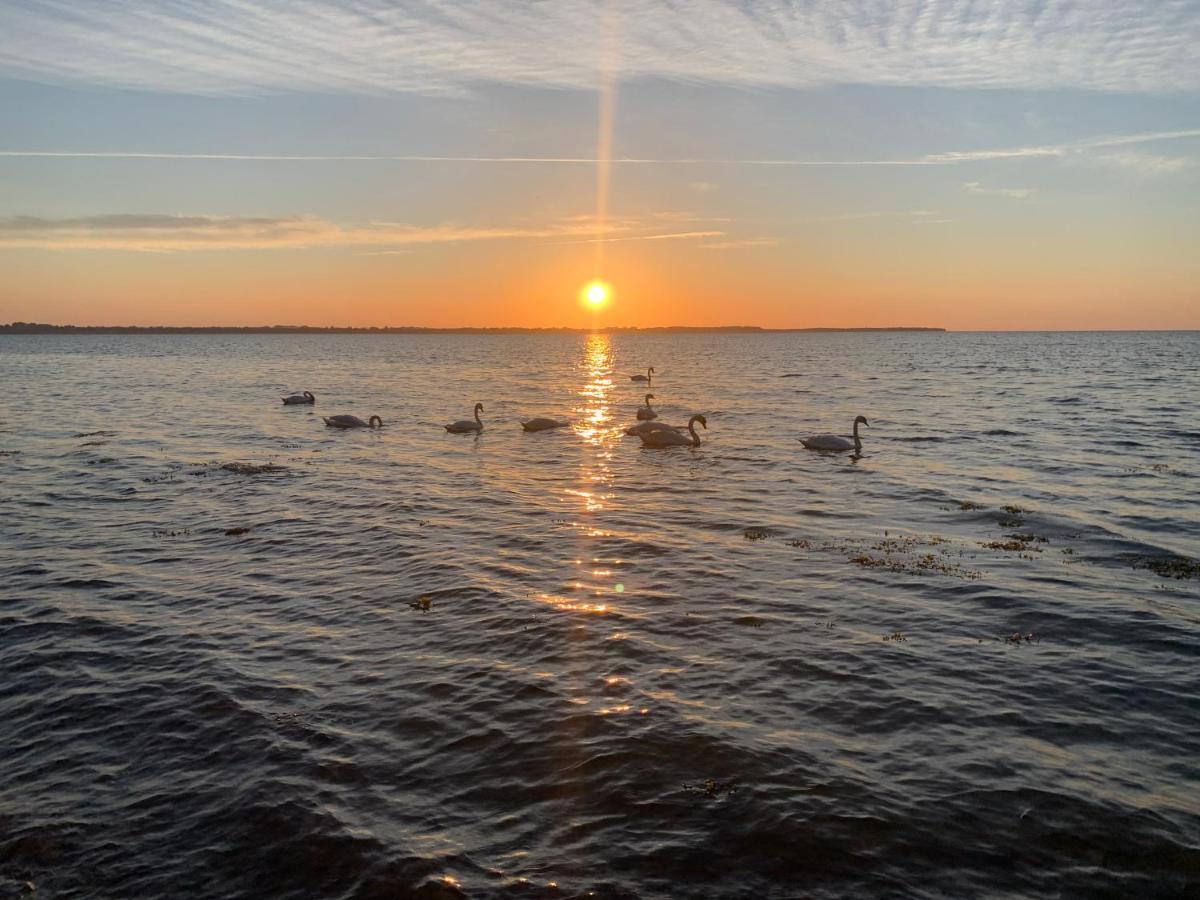 Reet Und Meer Beckerwitz Hohenkirchen  Esterno foto