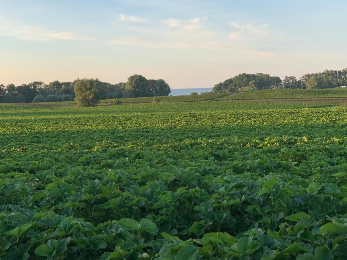 Reet Und Meer Beckerwitz Hohenkirchen  Esterno foto