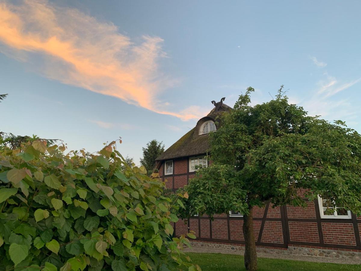 Reet Und Meer Beckerwitz Hohenkirchen  Esterno foto