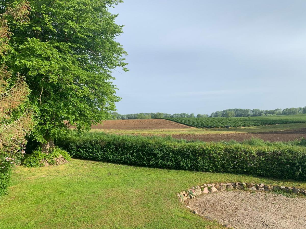 Reet Und Meer Beckerwitz Hohenkirchen  Esterno foto